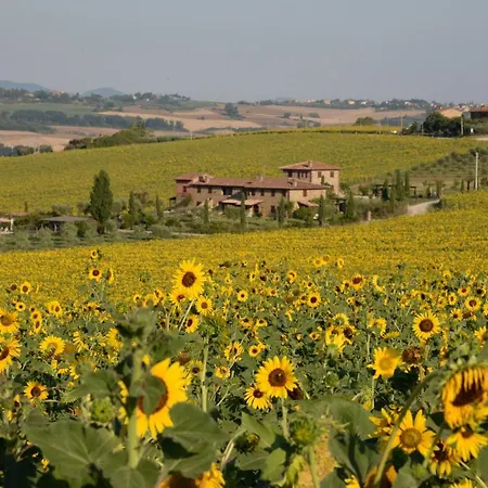 Fontegirasole - A Fontanaro