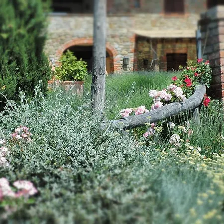 Fontegirasole - A Fontanaro * Paciano