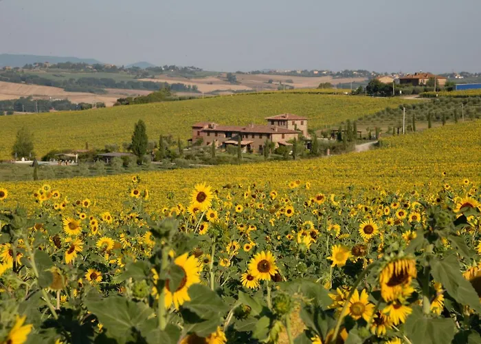 Fontegirasole - A Fontanaro