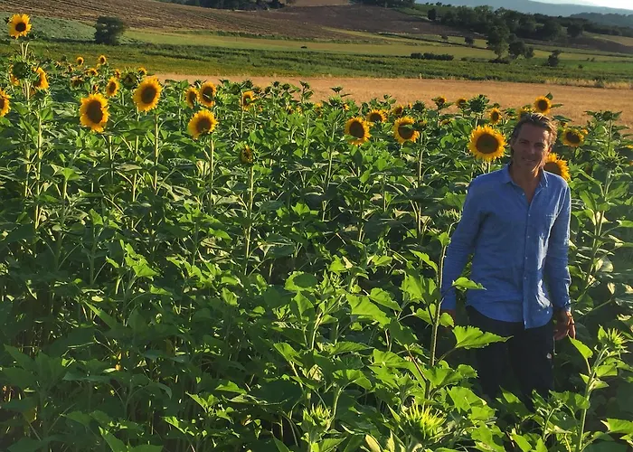 Fontegirasole - A Fontanaro * Paciano