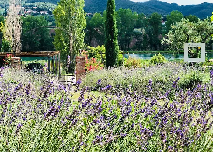 Fontegirasole - A Fontanaro Paciano